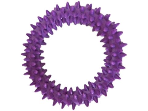 Tatrapet hračka pro psa kroužek s výstupky 9 cm tvrdá guma fialová