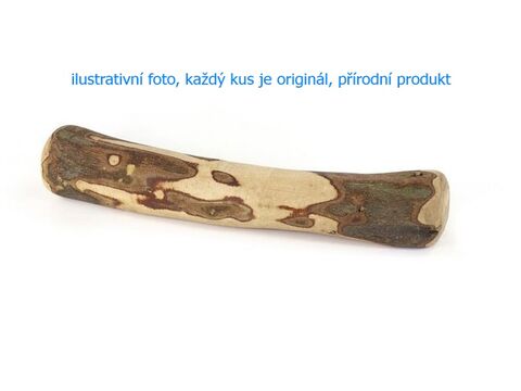 Record hračka pro psa aport z olivovníku  M 20 - 26 cm, 100 - 200 g 