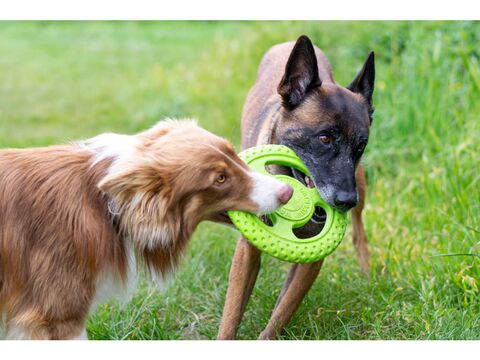 Kiwi Walker hračka pro psa házecí a plovací frisbee z TPR pěny průměr 16 cm růžová