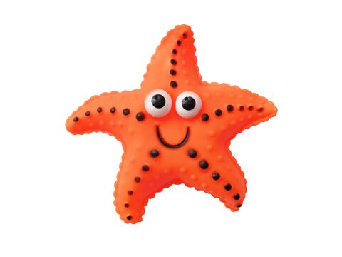 Magnum hračka pro psa mořská hvězdice, 12 cm, zářivě oranžová