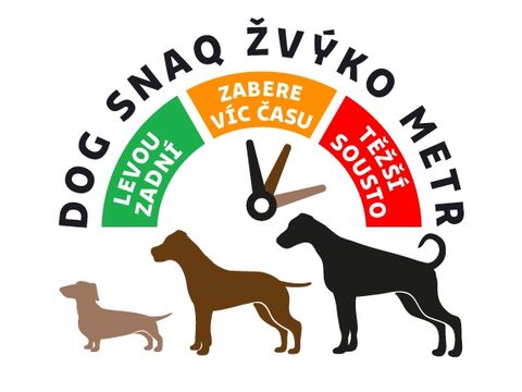 Dog Snaq sušené vepřové ucho 4 ks