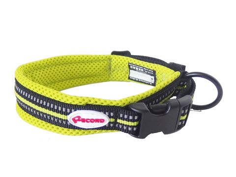 Record obojek na psa Ande 25 mm x 55-60cm podšitý nylon zářivě žlutý
