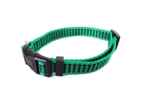 Tatrapet Benny obojek na psa Basic 15 mm x 24-40 cm nylon reflexní zelený