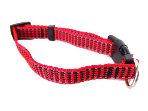 Tatrapet Benny obojek na psa Basic 20 mm x 25-42 cm nylon reflexní červený
