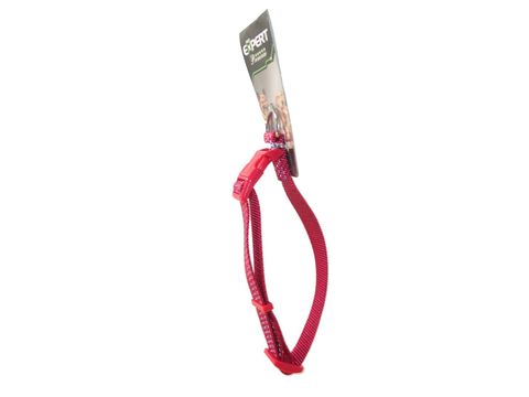 Tatrapet Pet Expert obojek na psa Basic 20 mm x 30-45 cm nylon 3 reflexní proužky červený