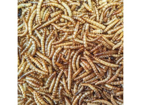 Apetit - MEALWORM 60 g sušení mouční červi