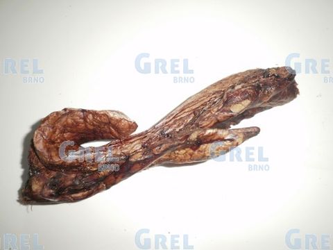 Alkapet sušené plíce cca 500  g filetované