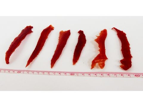 Hanny Food 100% sušená kachní prsíčka 500 g 