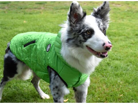 Nayeco vesta pro psa zateplená s kapucí zelená délka 30 cm, obvod 42 cm doprodej