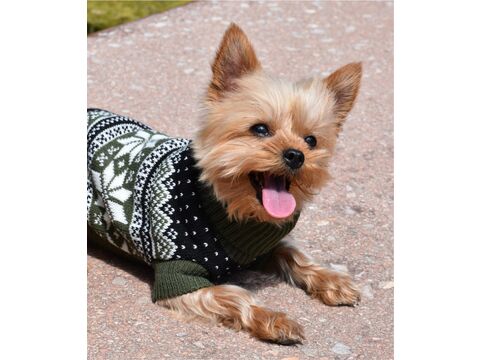 Nayeco svetr pro psa 30 cm, délka 28 cm, obvod 34 cm polární květina zelená
