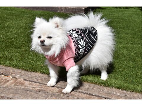 Nayeco svetr pro psa 25 cm, obvod 28 cm polární květina růžová