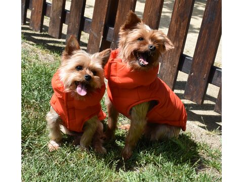 Nayeco vesta pro psa 25 cm, obvod 36 cm, zateplená oranžová doprodej