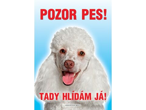 Grel Tabulka pozor pes pudl bílý