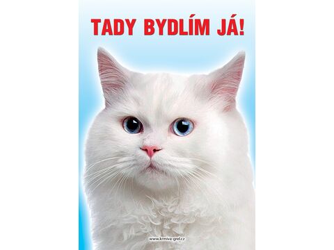 Nálepka 12 x 8,5cm -  kočka bílá