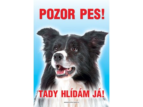 Grel Tabulka pozor pes kolie border