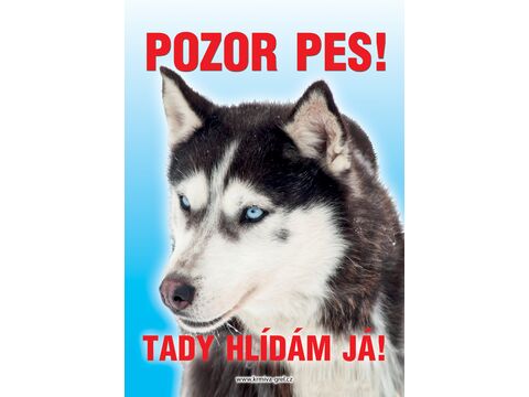 Grel nálepka pozor pes husky