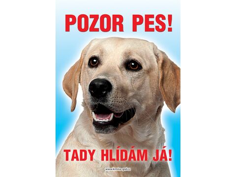 Grel Tabulka pozor pes labrador čelně