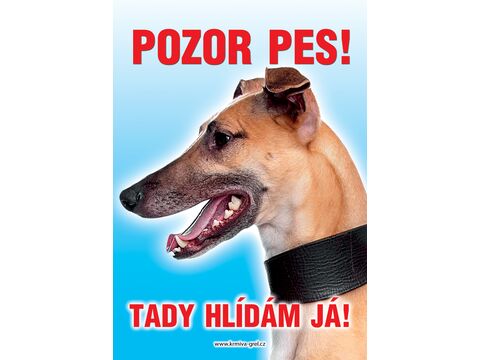 Grel nálepka pozor pes chrt