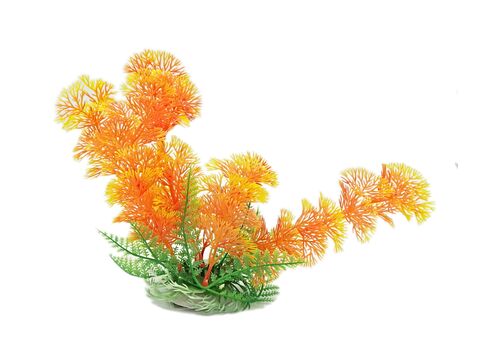Tatrapet akvarijní rostlina 18-20cm 1x zelená+2x oranžová doprodej