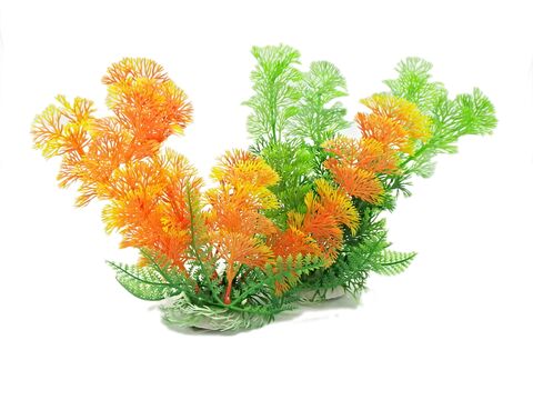 Tatrapet akvarijní rostlina 18-20cm 1x zelená+2x oranžová doprodej