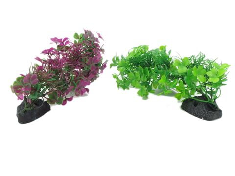 Tatrapet akvarijní rostlina 18-20cm 1x zelená a 1x fialová doprodej 