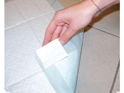 Record plenová podložka BestBone 11 ks 60 x 90 cm, 740 g s lepícími rožky