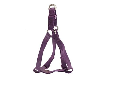 Papillon postroj pro psa Basic nylon fialový 20 mm x 45 - 70 cm