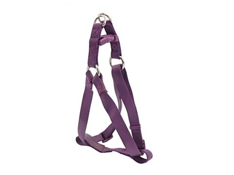 Papillon postroj pro psa Basic nylon fialový 20 mm x 45 - 70 cm