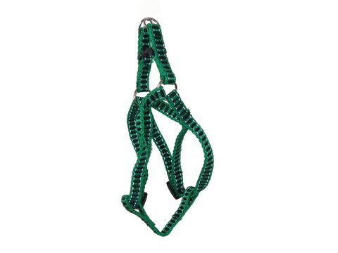 Tatrapet Benny postroj Basic nylon 10 mm x 25 - 40 cm reflexní zelený
