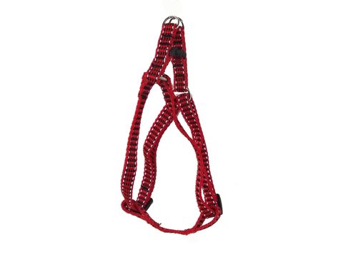 Tatrapet Benny postroj Basic nylon 10 mm x 25 - 40 cm reflexní červený