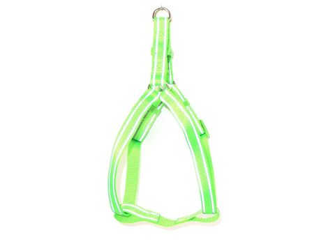 Tatrapet Benny postroj Basic nylon 15 mm x 30 - 50 cm reflexní fosforový
