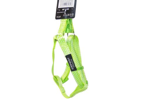 Tatrapet Pet Expert postroj Basic nylon 15 mm x 30 - 50 cm reflexní fosforový