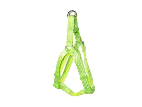 Tatrapet Pet Expert postroj Basic nylon 15 mm x 30 - 50 cm reflexní fosforový