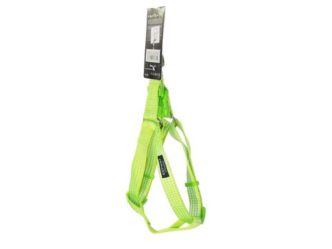 Tatrapet Pet Expert postroj Basic nylon 25 mm x 50 - 75 cm reflexní zářivě zelený