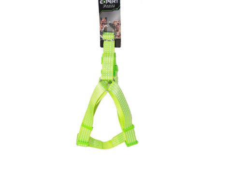 Tatrapet Pet Expert postroj Basic nylon 25 mm x 50 - 75 cm reflexní zářivě zelený