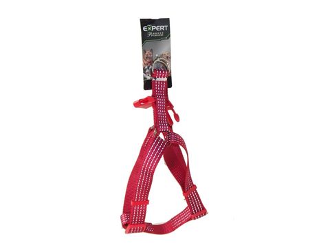 Tatrapet Pet Expert postroj Basic nylon 25 mm x 50 - 75 cm reflexní červený