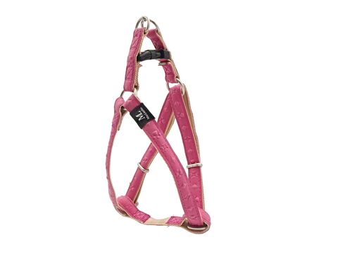 Nayeco postroj Macleathet Star Fucsia 10mm/25-40cm koženkový růžový