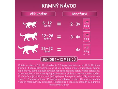 Purina ONE Junior 4 x 85 g kapsa mini filetky losos s mrkví ve šťávě