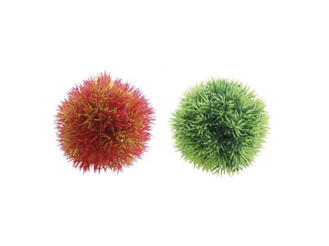 Tatrapet akvarijní rostlina 10-12 cm koule 1 x zelená, 1 x červená