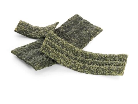 Record  Alga Gum L, 5 x 24,5 g  s mořskou řasou