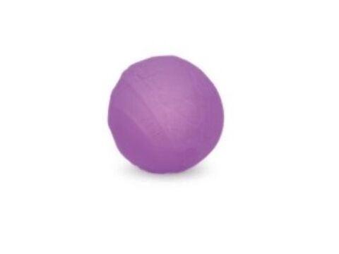 Record hračka pro psa plovoucí míček průměr 6 cm TPR pěna fialová
