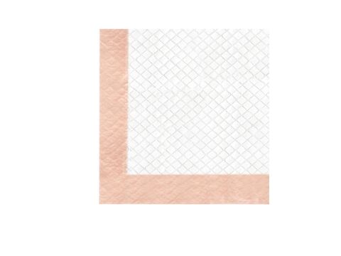 Record plenová podložka BestBone 30 ks 60 x 90 cm, 682 g s lepícími rožky a ovocnou vůní