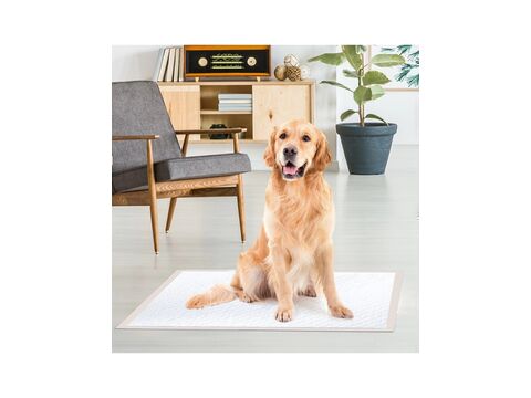 Record plenová podložka BestBone 30 ks 60 x 90 cm, 682 g s lepícími rožky a ovocnou vůní