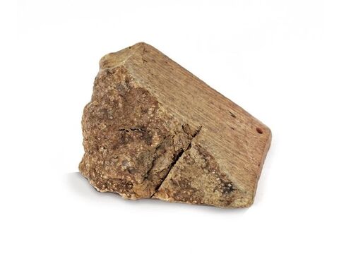 Record hračka pro psa aport z vřesového kořene S 150 -300 g