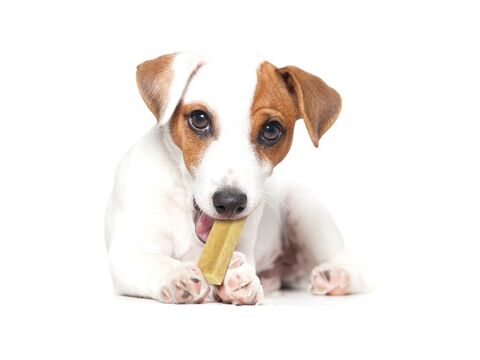 Record yak snack pro psy S/ 25 - 30 g z mléka 