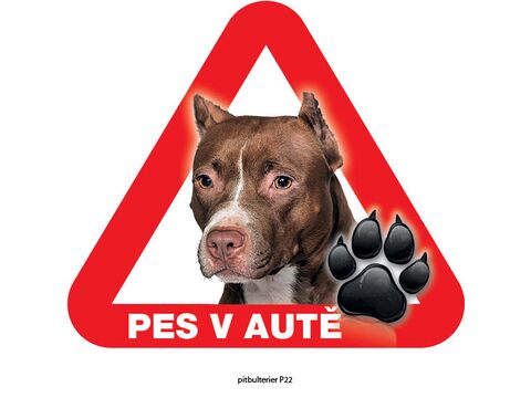 Grel nálepka na plech pozor pes v autě pitbulteriér