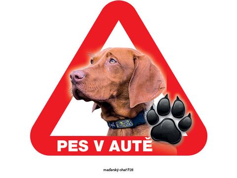 Grel nálepka na plech pozor pes v autě maďarský ohař