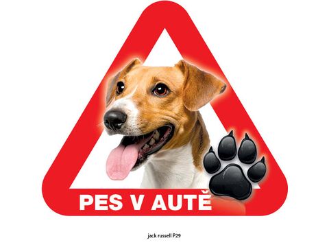 Grel nálepka na plech pozor pes v autě jack russell