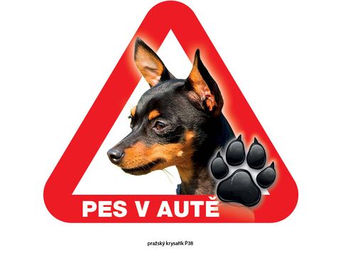 Grel nálepka na sklo pozor pes v autě pražský krysařík