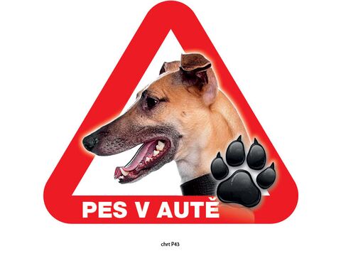 Grel nálepka na sklo pozor pes v autě chrt